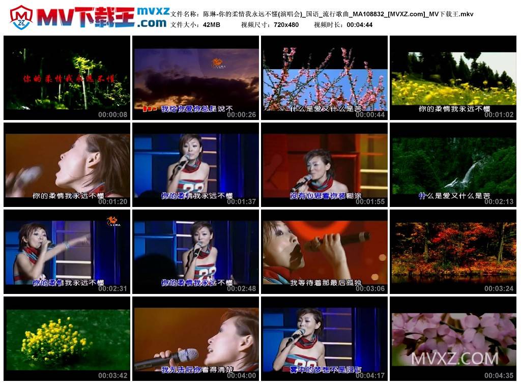 陈琳-你的柔情我永远不懂(演唱会)_国语_流行歌曲_MA108832